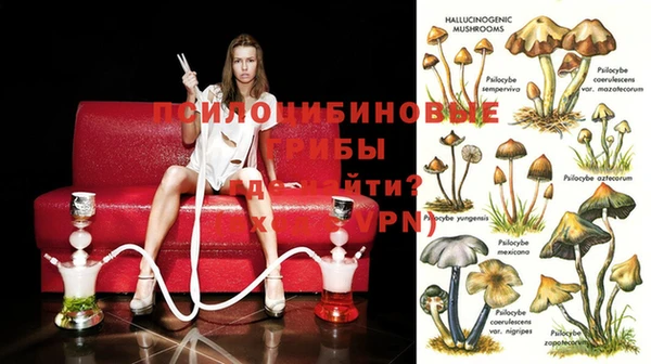 молекула духа Алексеевка