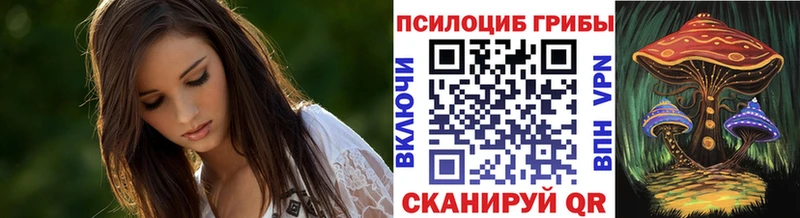 Псилоцибиновые грибы мухоморы  omg ссылки  Андреаполь 